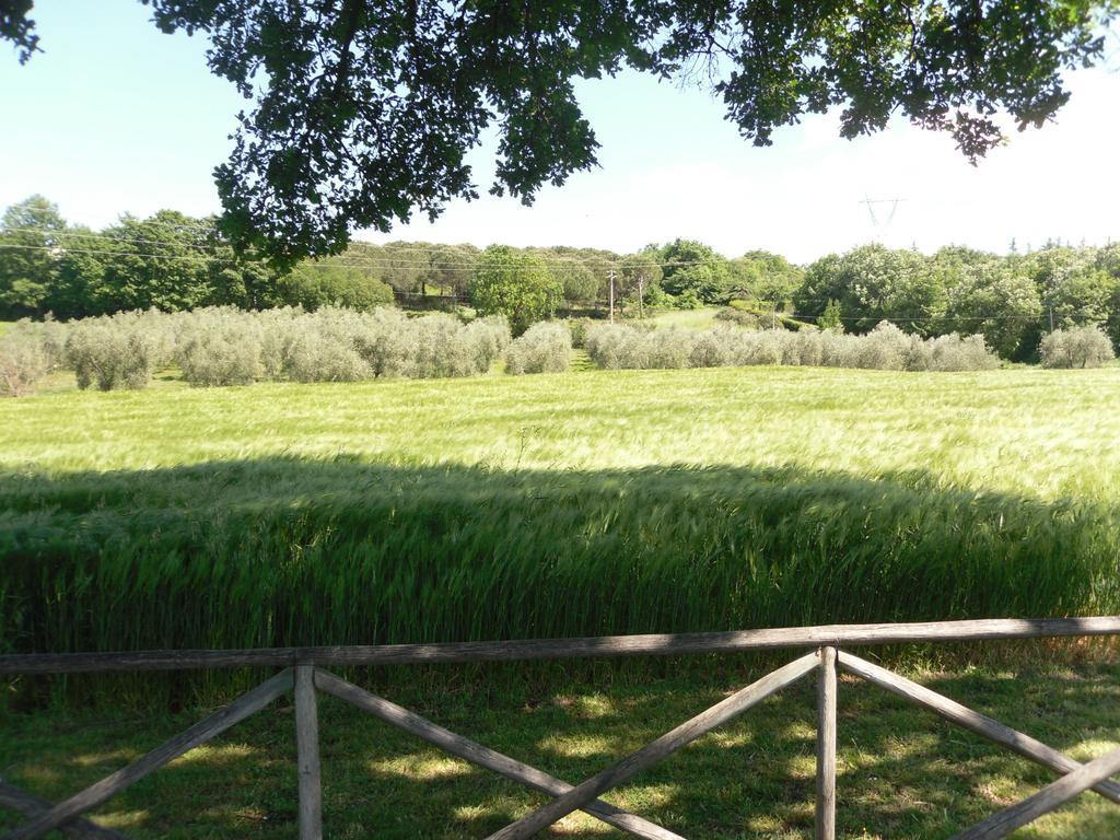 Agriturismo Il Giardino Saturnia Kültér fotó