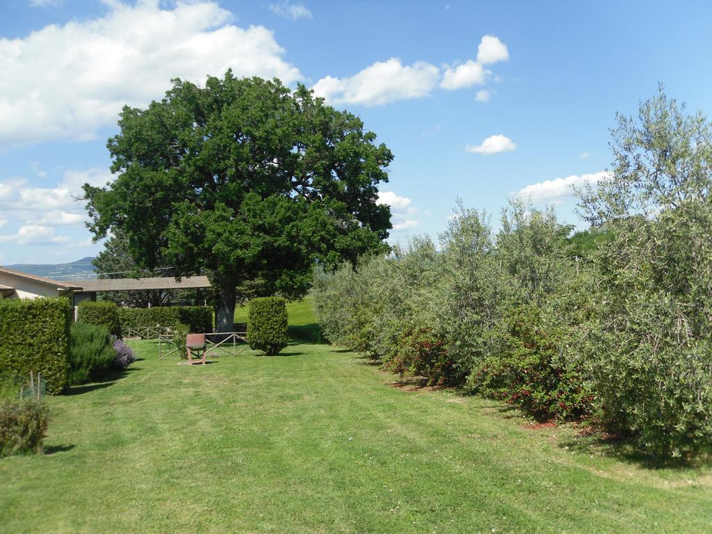 Agriturismo Il Giardino Saturnia Kültér fotó